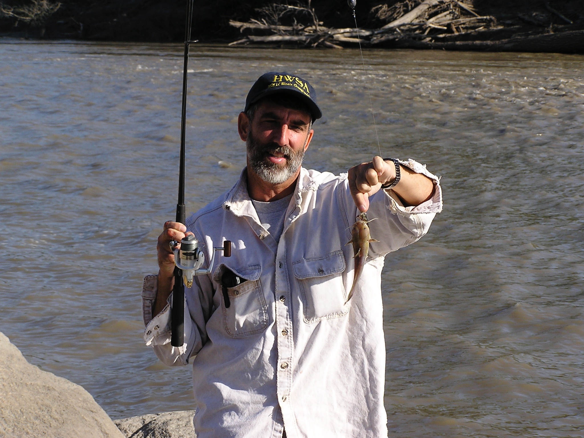 Dale Rothstein, Editor-in-Chief