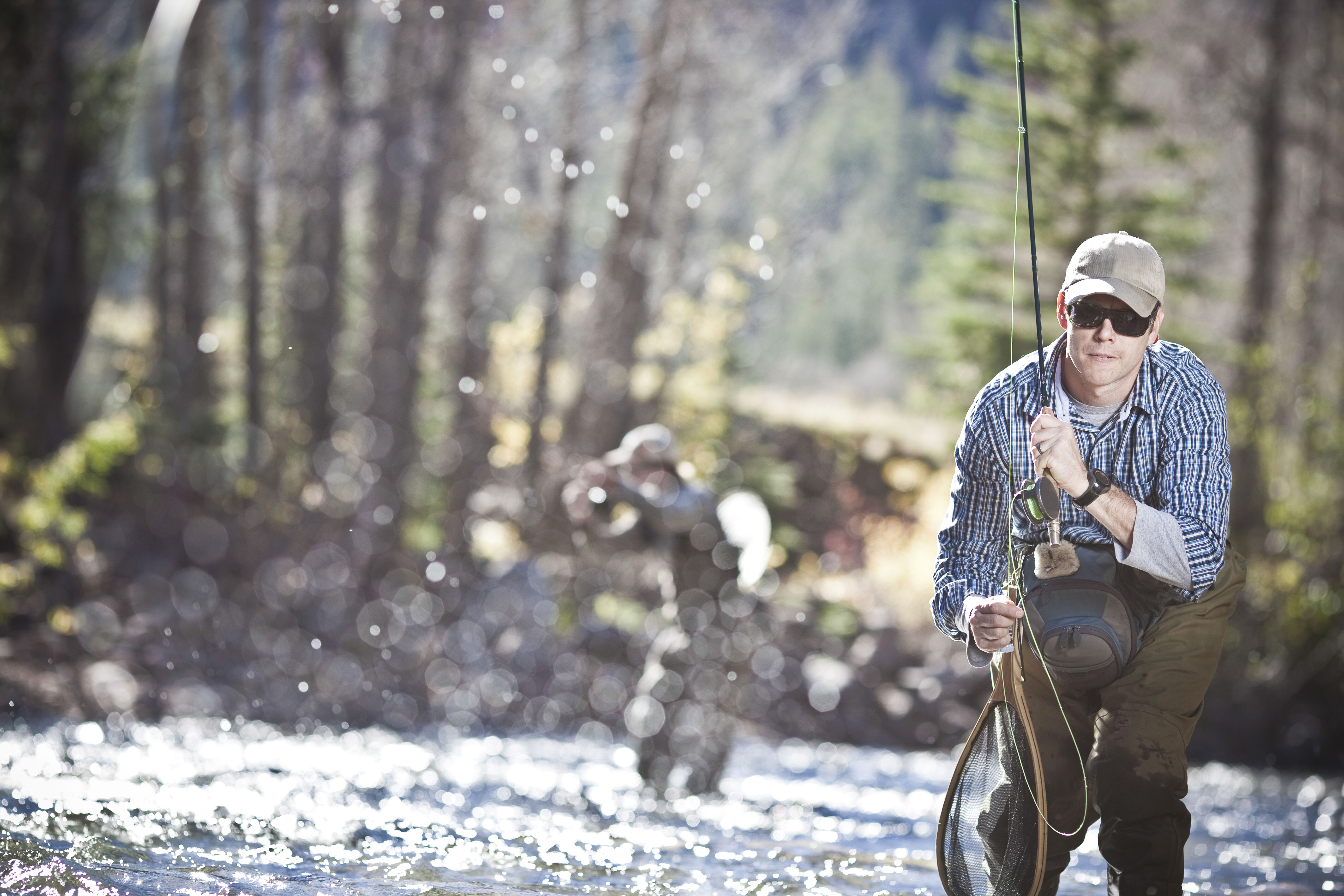 Trout in clear mountain stream